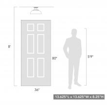 2866-OSF NB-NT_scale.jpg